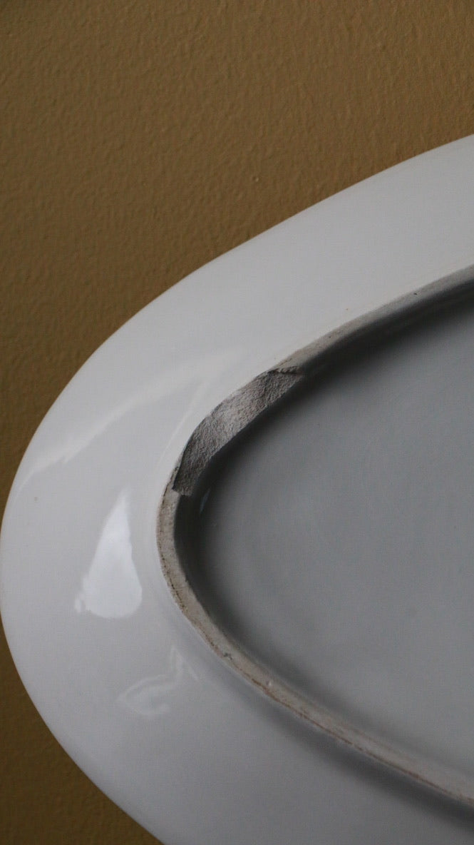 Hand-Painted Mid century modern Italian "Ceramiche Alfa" Fish Platter