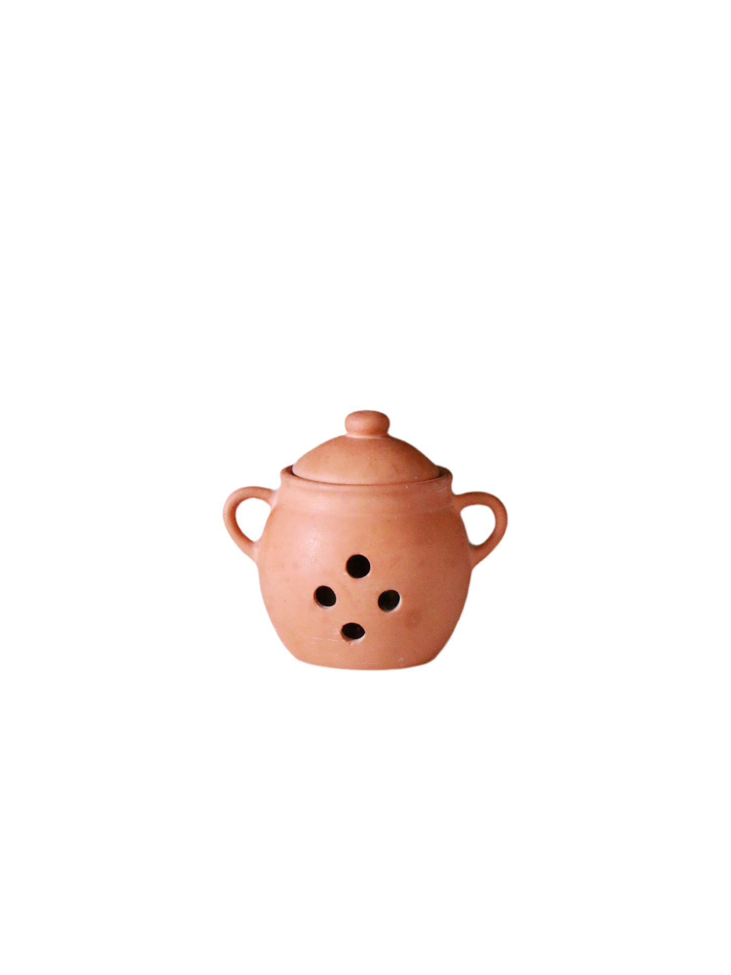 Vintage Terracotta Garlic Keeper